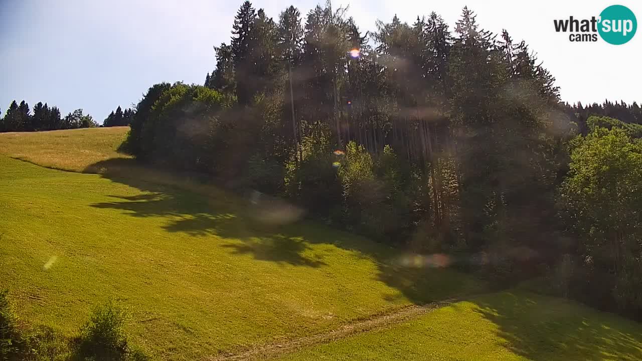 Stazione sciistica di Stari Vrh Webcam in diretta – Slovenia