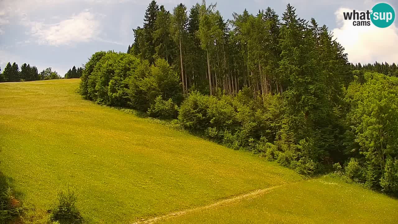 Stari Vrh Ski resort Live webcam – Slovenia