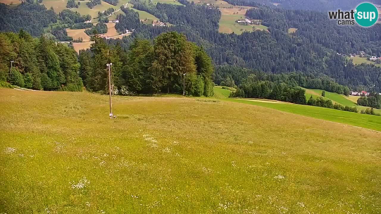 Stazione sciistica di Stari Vrh Webcam in diretta – Slovenia