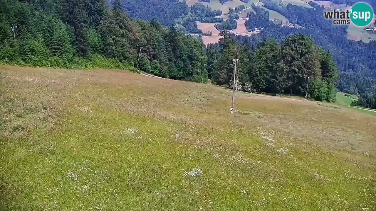 Smučišče Stari Vrh Spletna kamera – vrtljiva