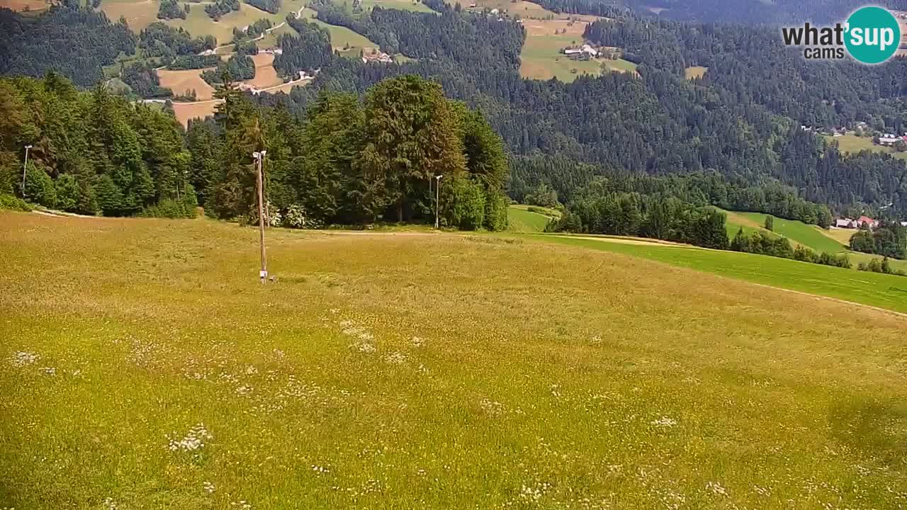 Smučišče Stari Vrh Spletna kamera – vrtljiva