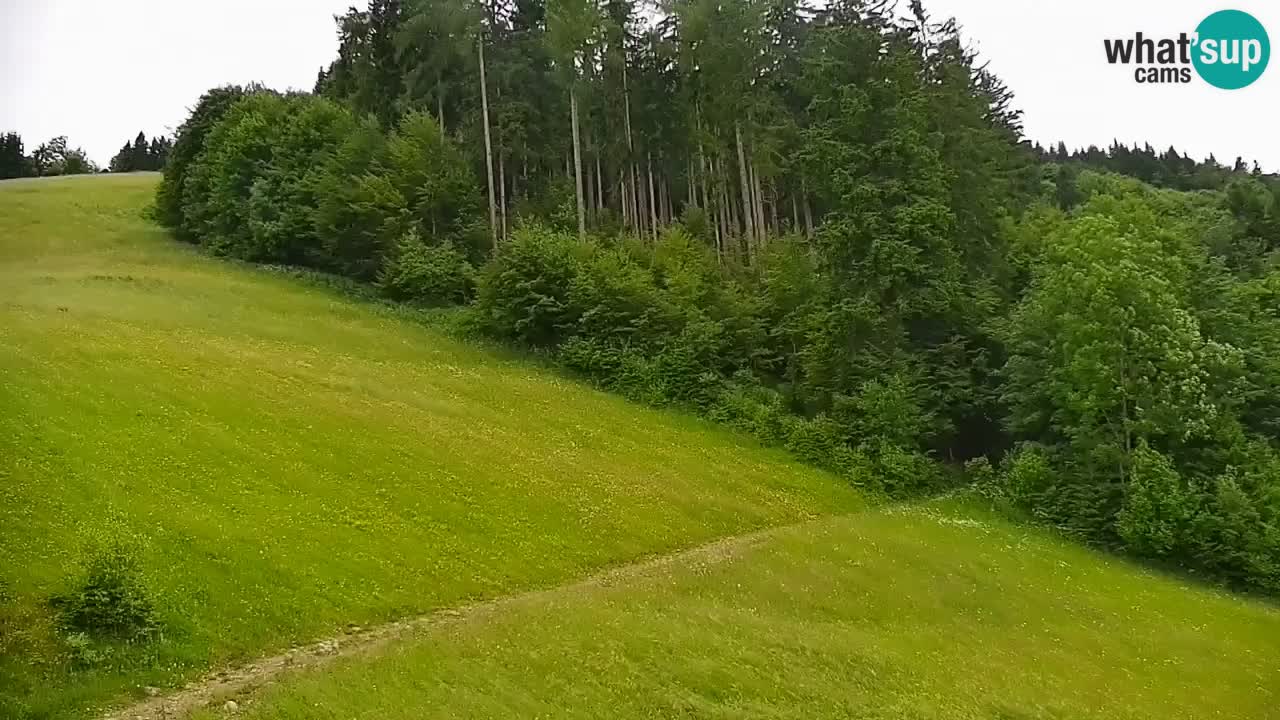 Skigebiet Stari Vrh Live Webcam – Slowenien