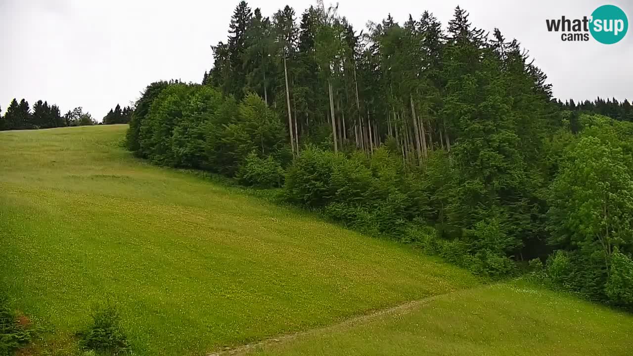 Skigebiet Stari Vrh Live Webcam – Slowenien