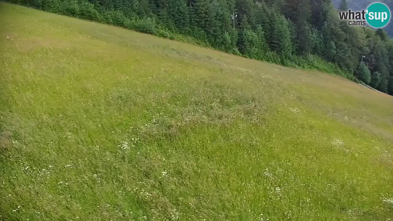 Stazione sciistica di Stari Vrh Webcam in diretta – Slovenia