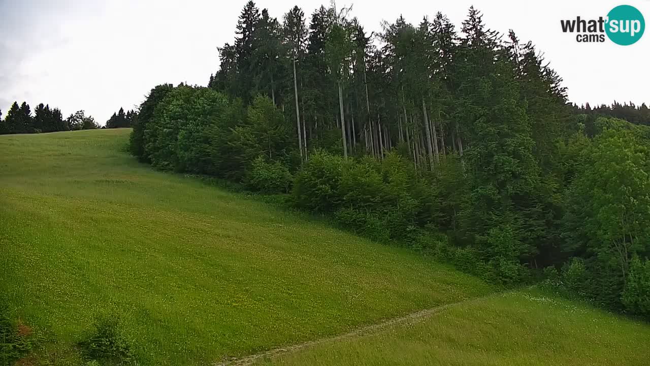 Webcam en direct de la station de ski de Stari Vrh – Slovénie