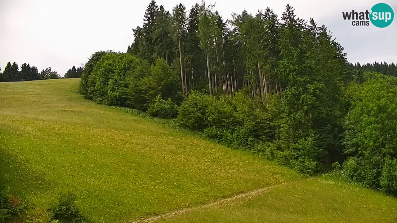Webcam en direct de la station de ski de Stari Vrh – Slovénie