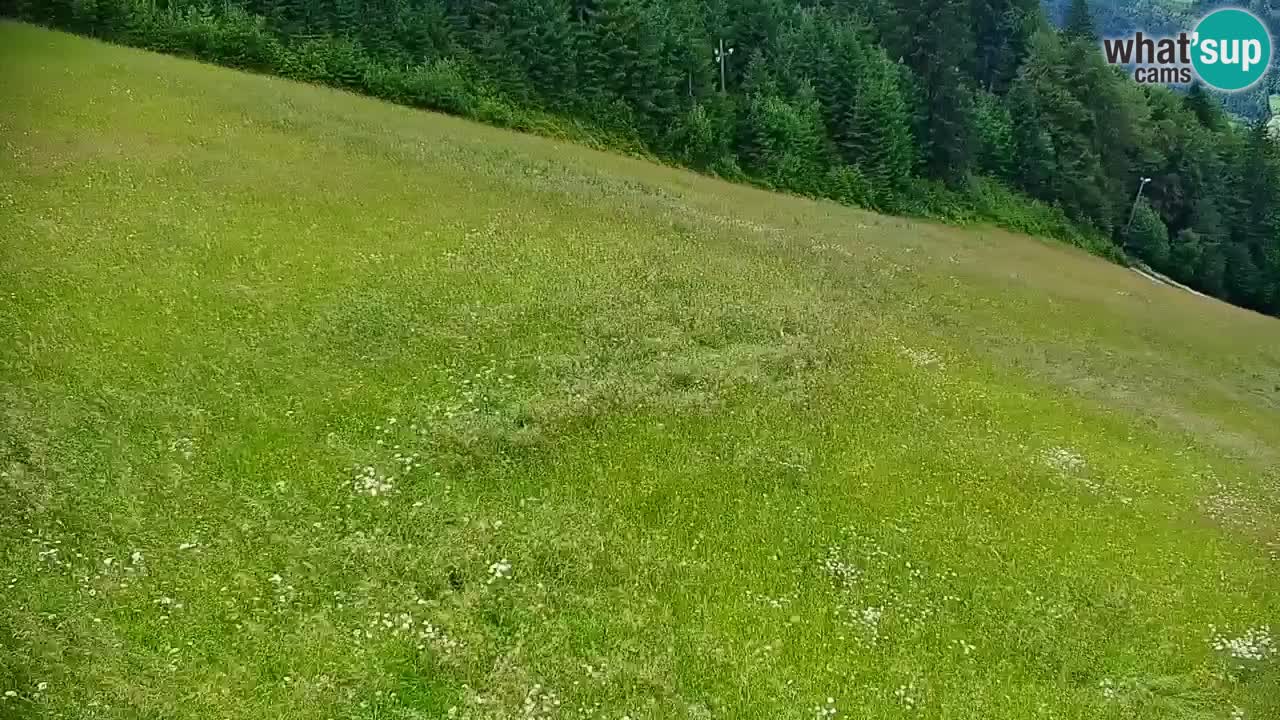 Stazione sciistica di Stari Vrh Webcam in diretta – Slovenia