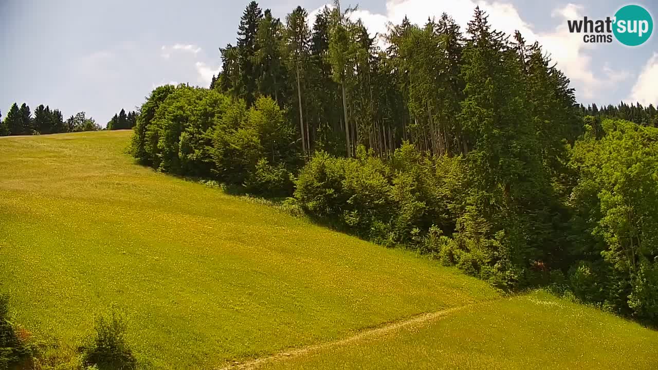 Webcam en direct de la station de ski de Stari Vrh – Slovénie