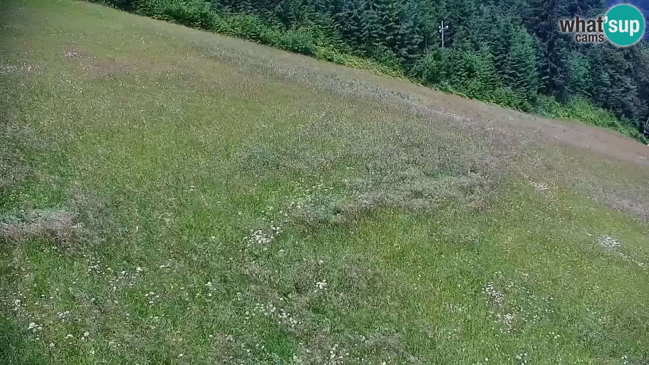 Stazione sciistica di Stari Vrh Webcam in diretta – Slovenia