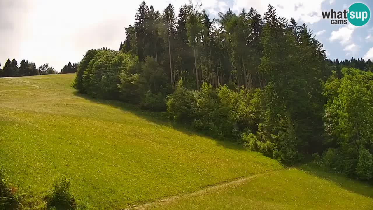 Skijalište Stari Vrh Web kamera uživo – Slovenija