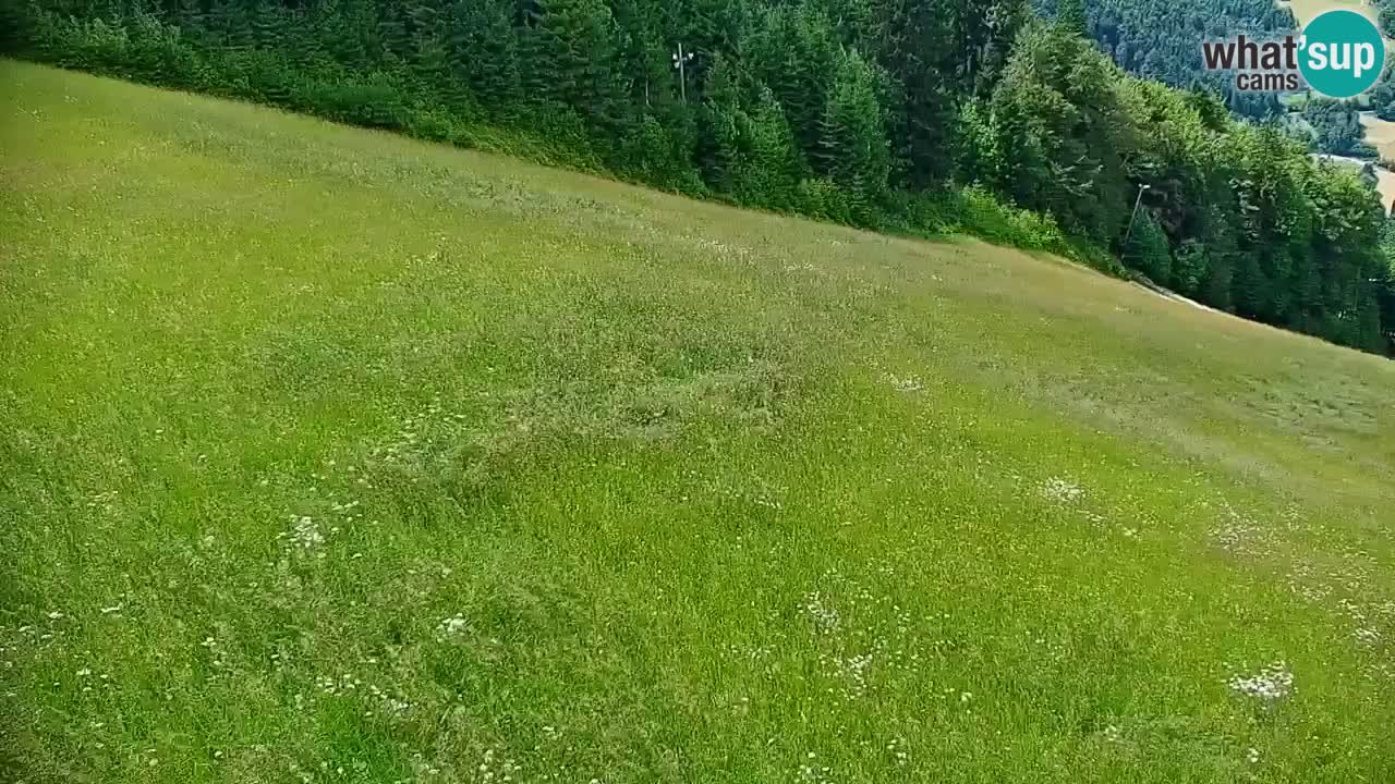Stazione sciistica di Stari Vrh Webcam in diretta – Slovenia