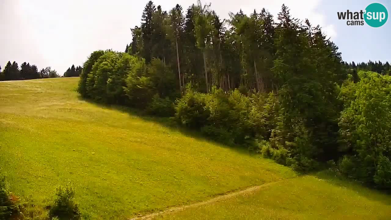 Skigebiet Stari Vrh Live Webcam – Slowenien