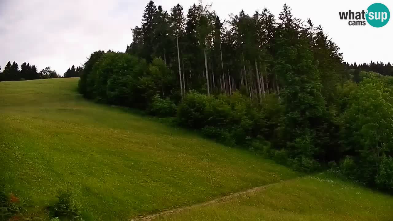Stari Vrh Ski resort Live webcam – Slovenia