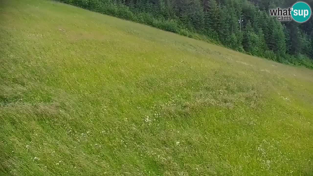 Stari Vrh Ski resort Live webcam – Slovenia