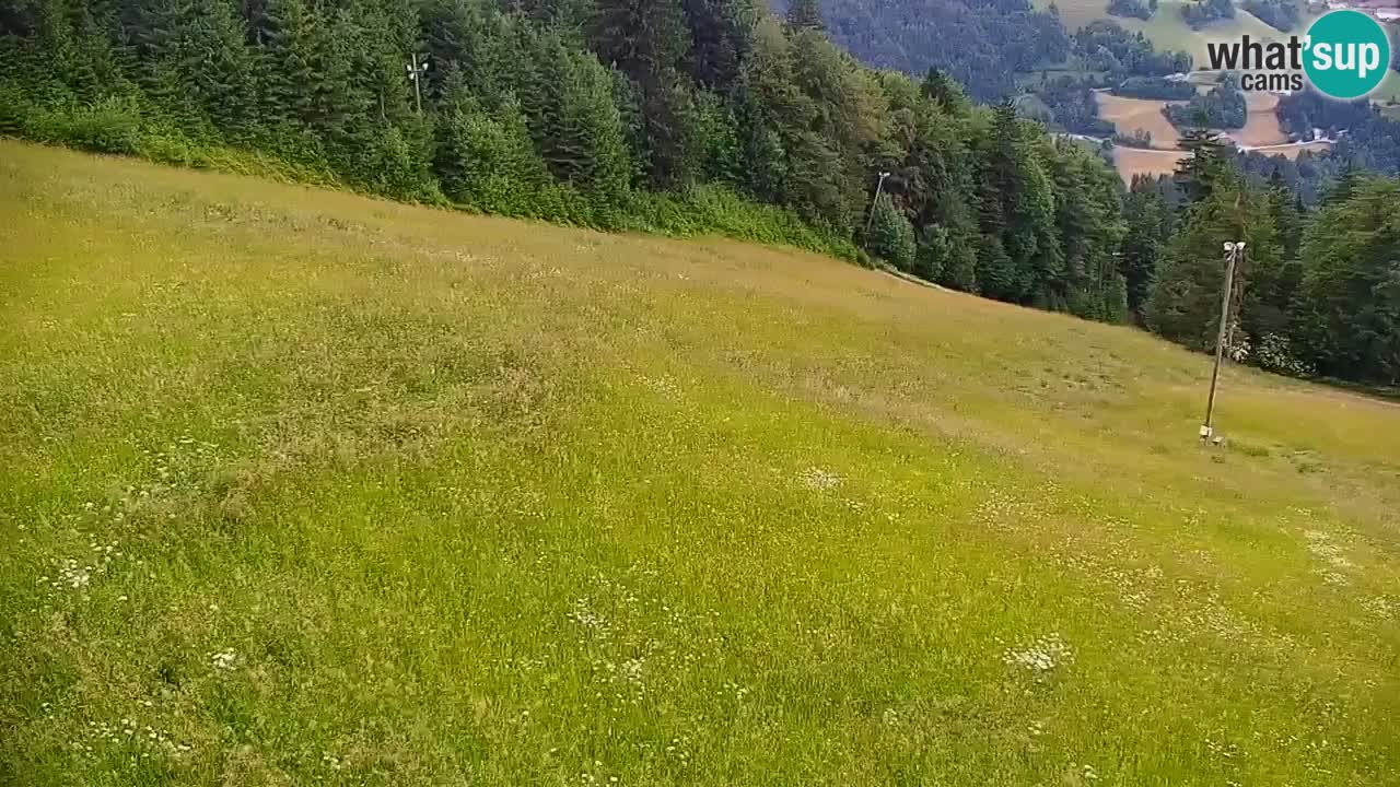 Skijalište Stari Vrh Web kamera uživo – Slovenija