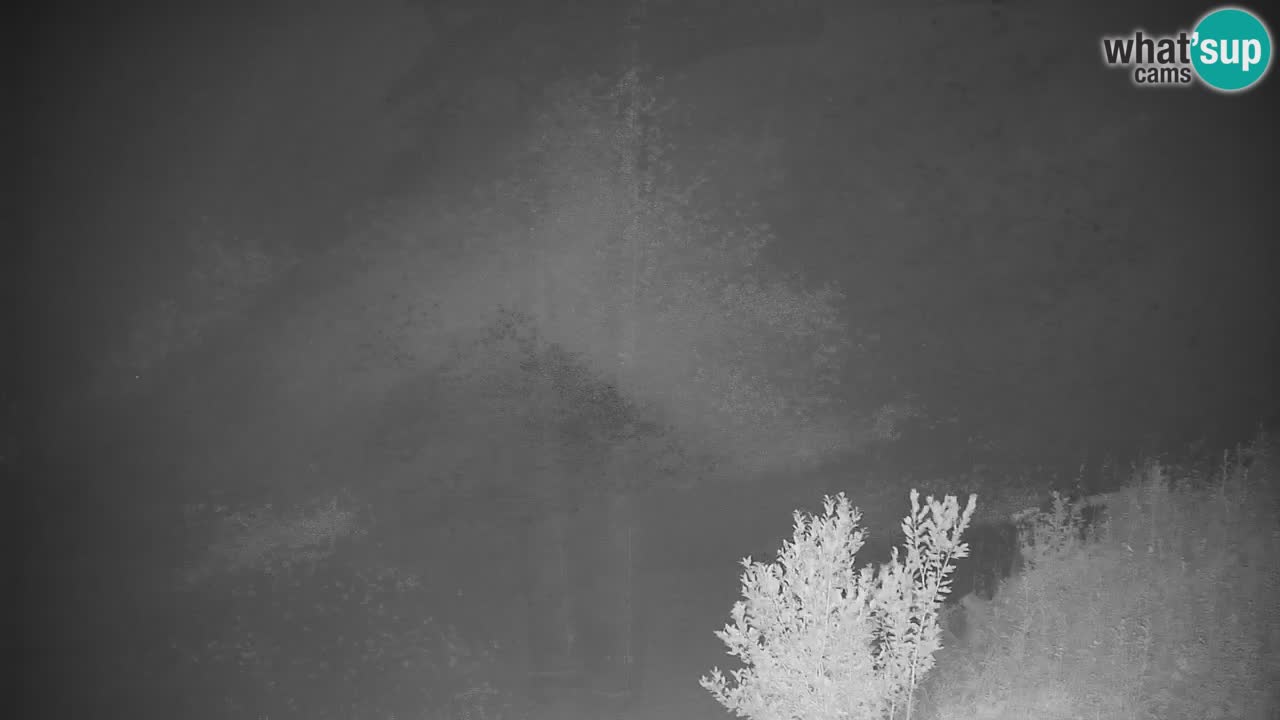 Skigebiet Stari Vrh Live Webcam – Slowenien