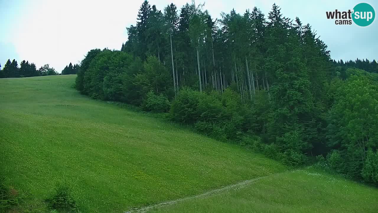 Skijalište Stari Vrh Web kamera uživo – Slovenija