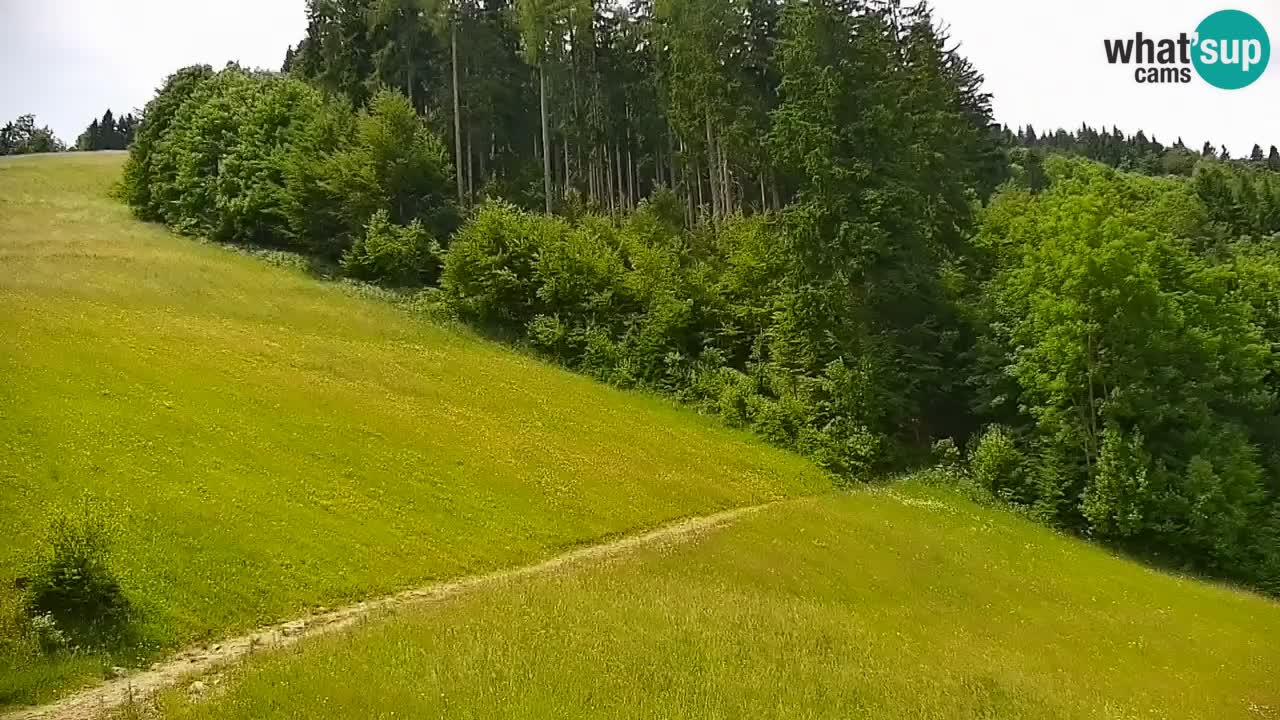 Stari Vrh Ski resort Live webcam – Slovenia