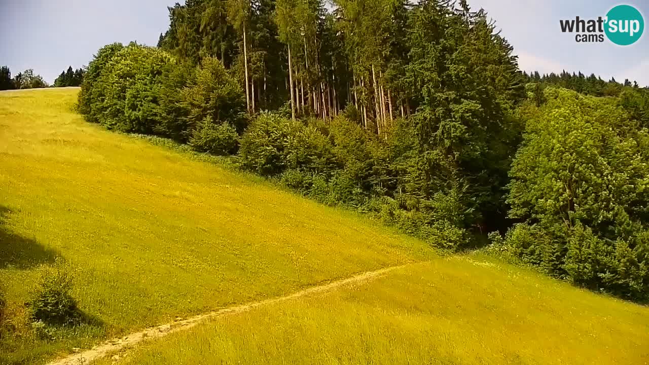 Stari Vrh Ski resort Live webcam – Slovenia