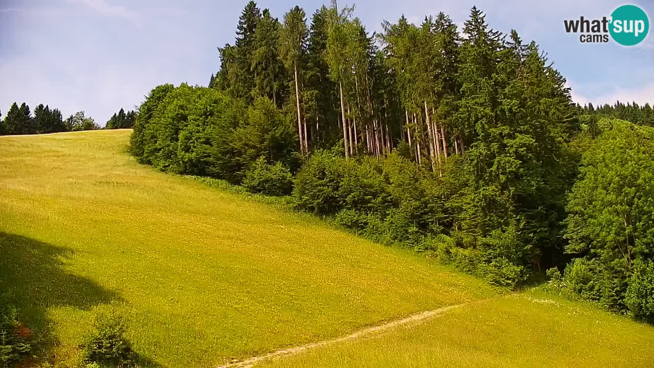 Skijalište Stari Vrh Web kamera uživo – Slovenija