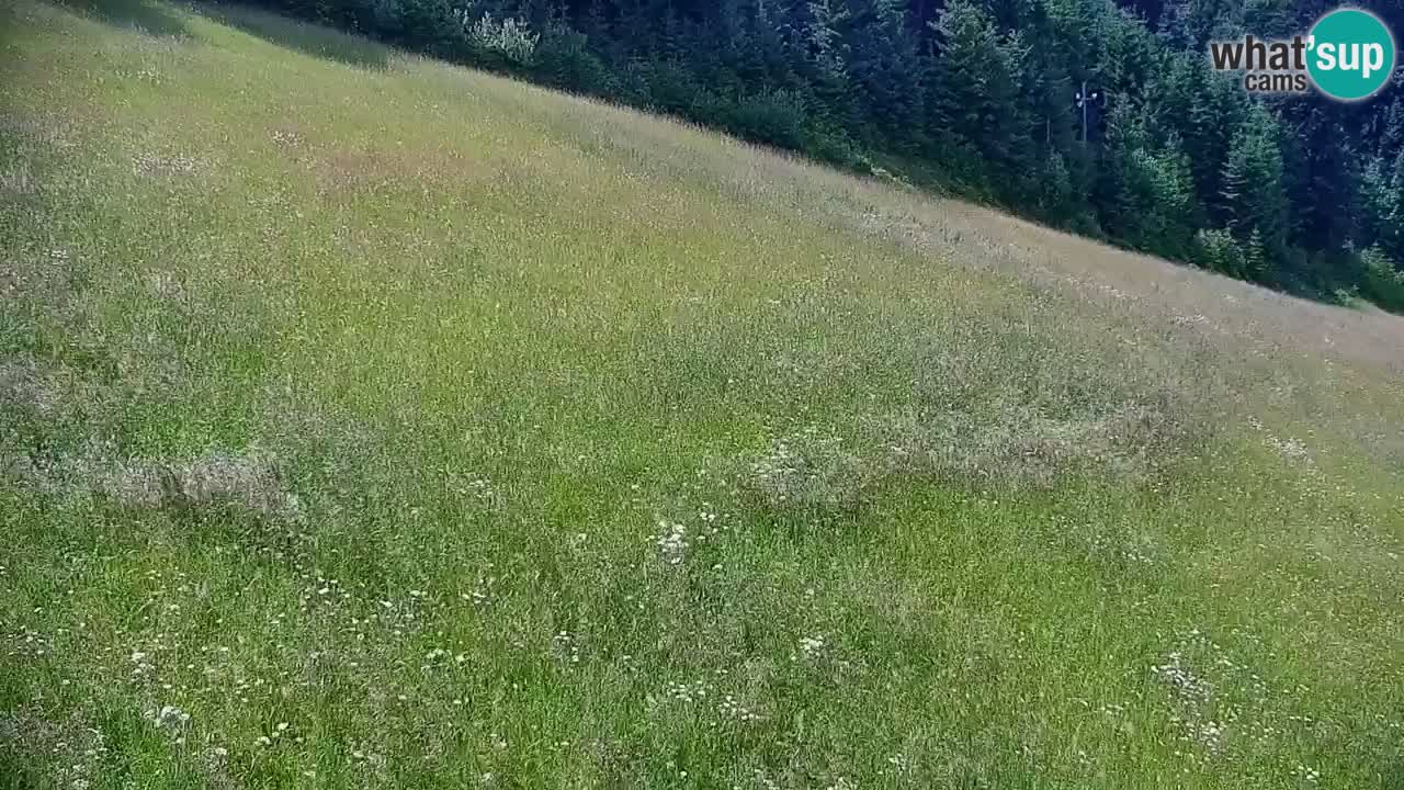 Stari Vrh Ski resort Live webcam – Slovenia