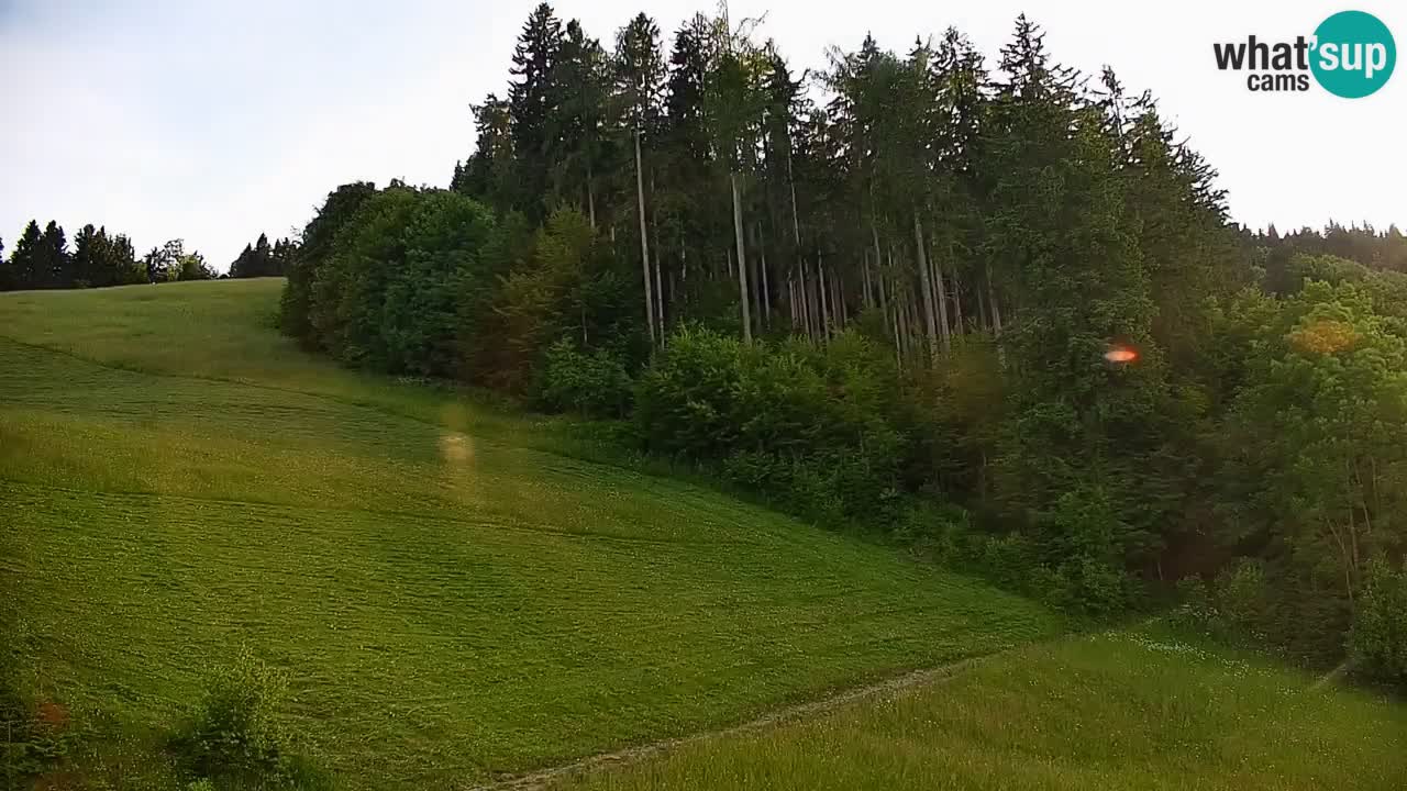 Skigebiet Stari Vrh Live Webcam – Slowenien