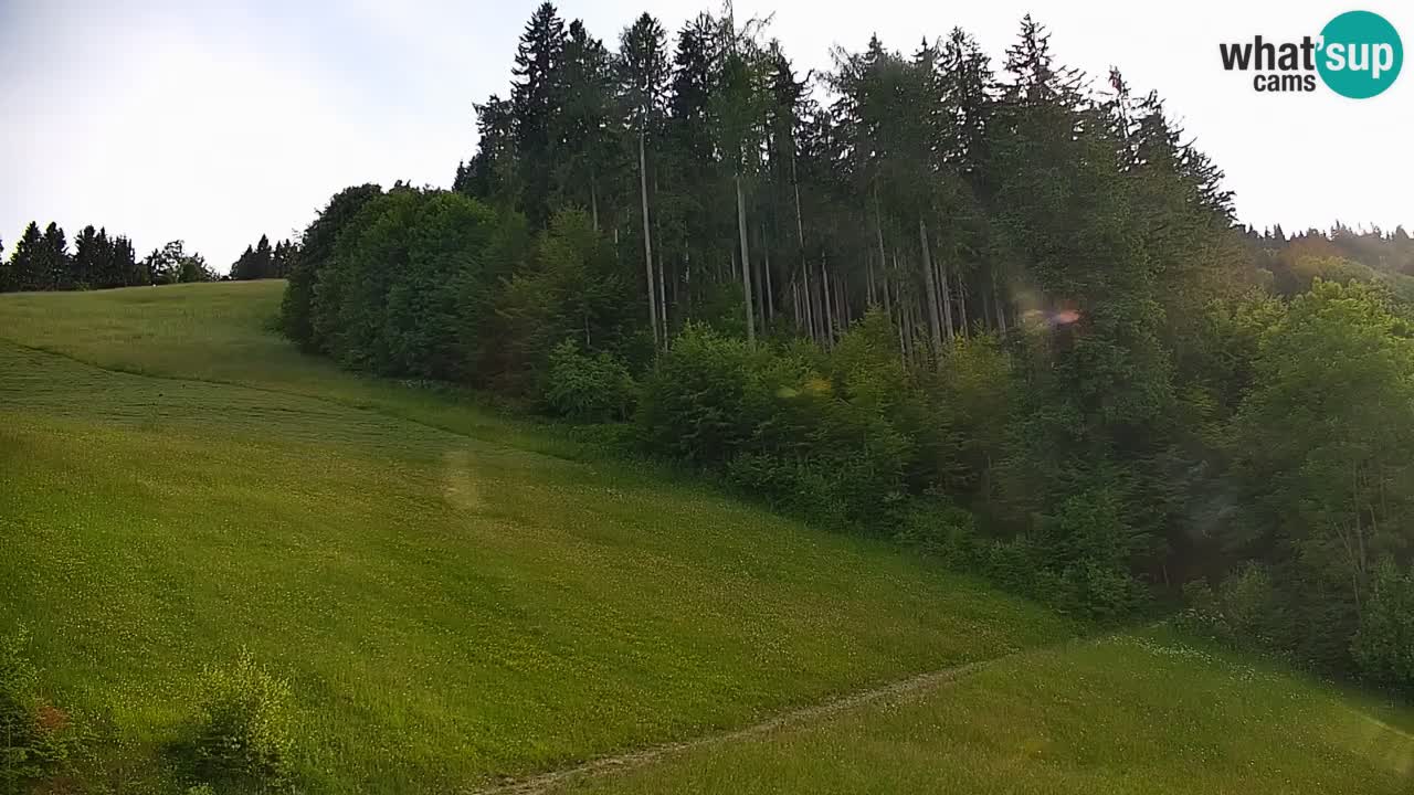 Skigebiet Stari Vrh Live Webcam – Slowenien