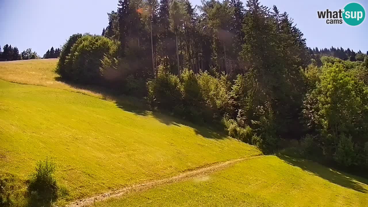Webcam en direct de la station de ski de Stari Vrh – Slovénie