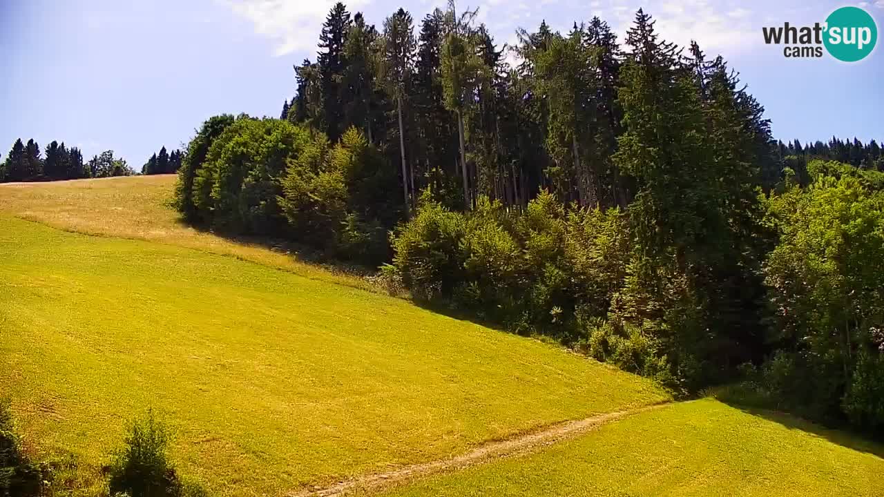 Skigebiet Stari Vrh Live Webcam – Slowenien