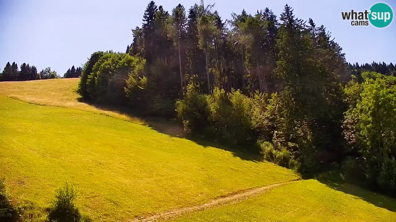 Estación de esquí Stari Vrh Cámara web en vivo – Eslovenia