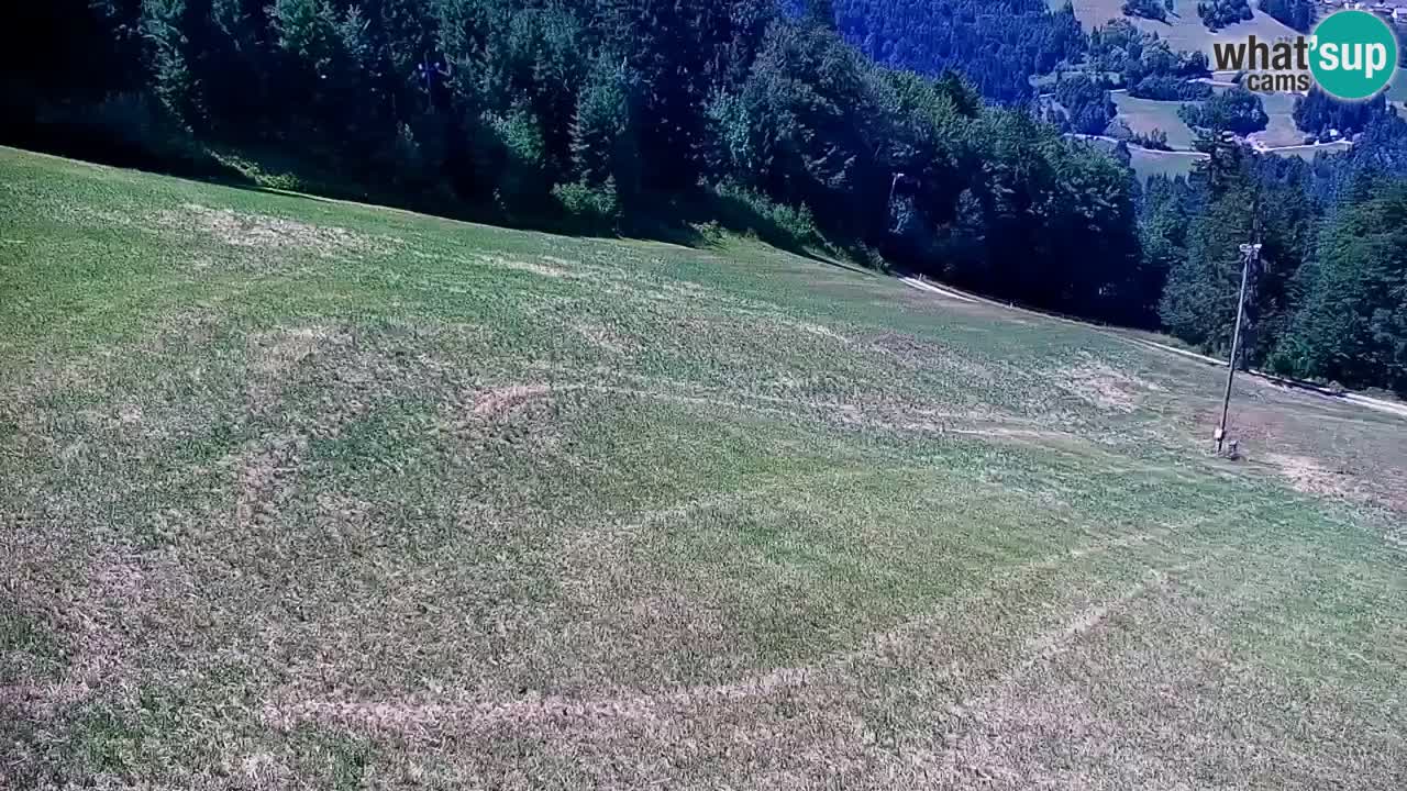 Stazione sciistica di Stari Vrh Webcam in diretta – Slovenia
