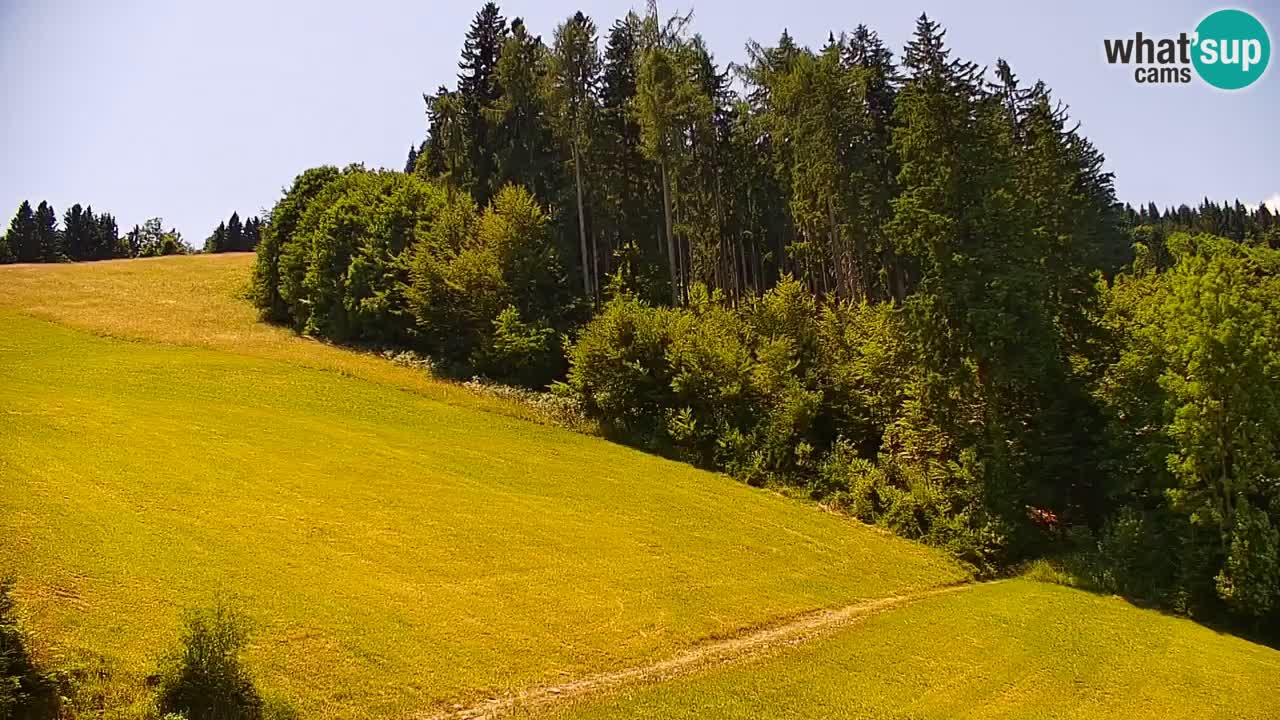 Stazione sciistica di Stari Vrh Webcam in diretta – Slovenia