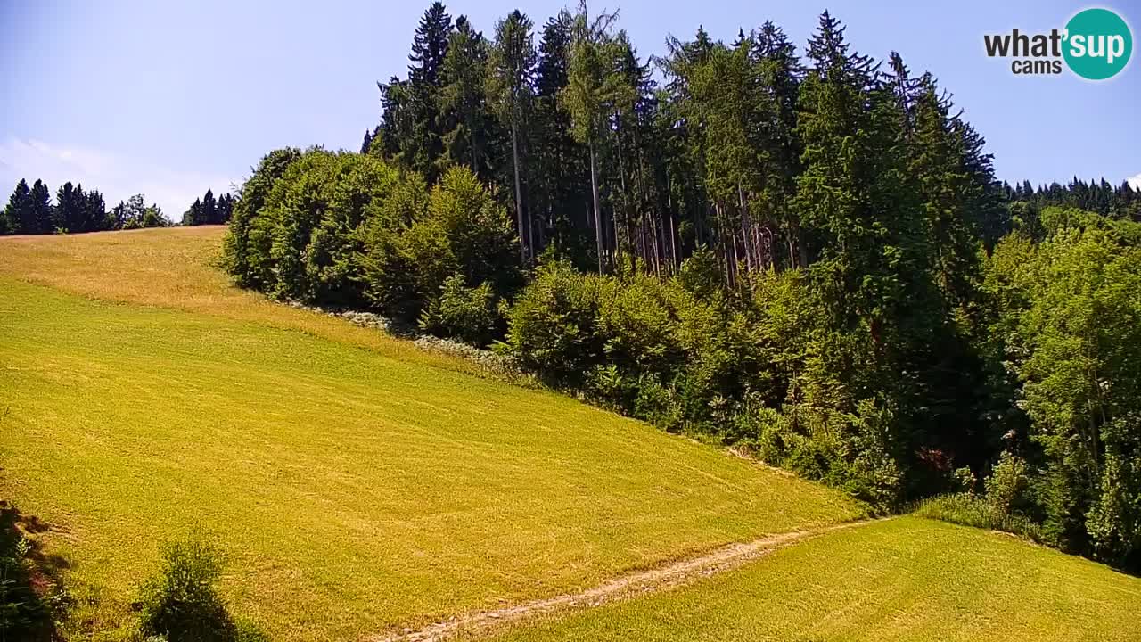 Estación de esquí Stari Vrh Cámara web en vivo – Eslovenia