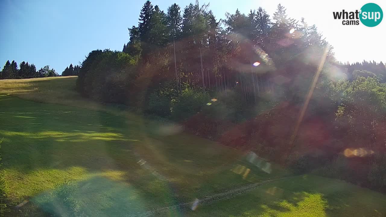 Skijalište Stari Vrh Web kamera uživo – Slovenija