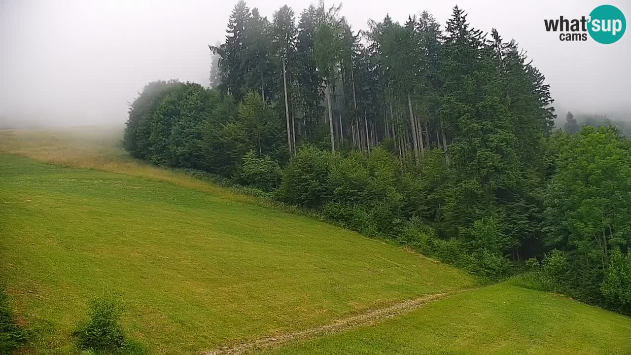 Webcam en direct de la station de ski de Stari Vrh – Slovénie