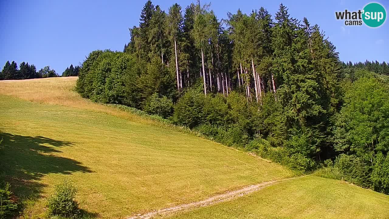 Stari Vrh Ski resort Live webcam – Slovenia