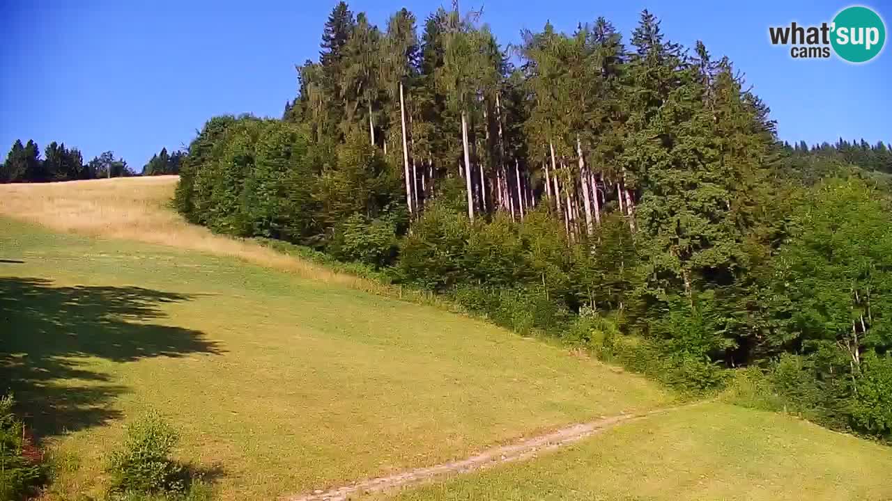 Skigebiet Stari Vrh Live Webcam – Slowenien