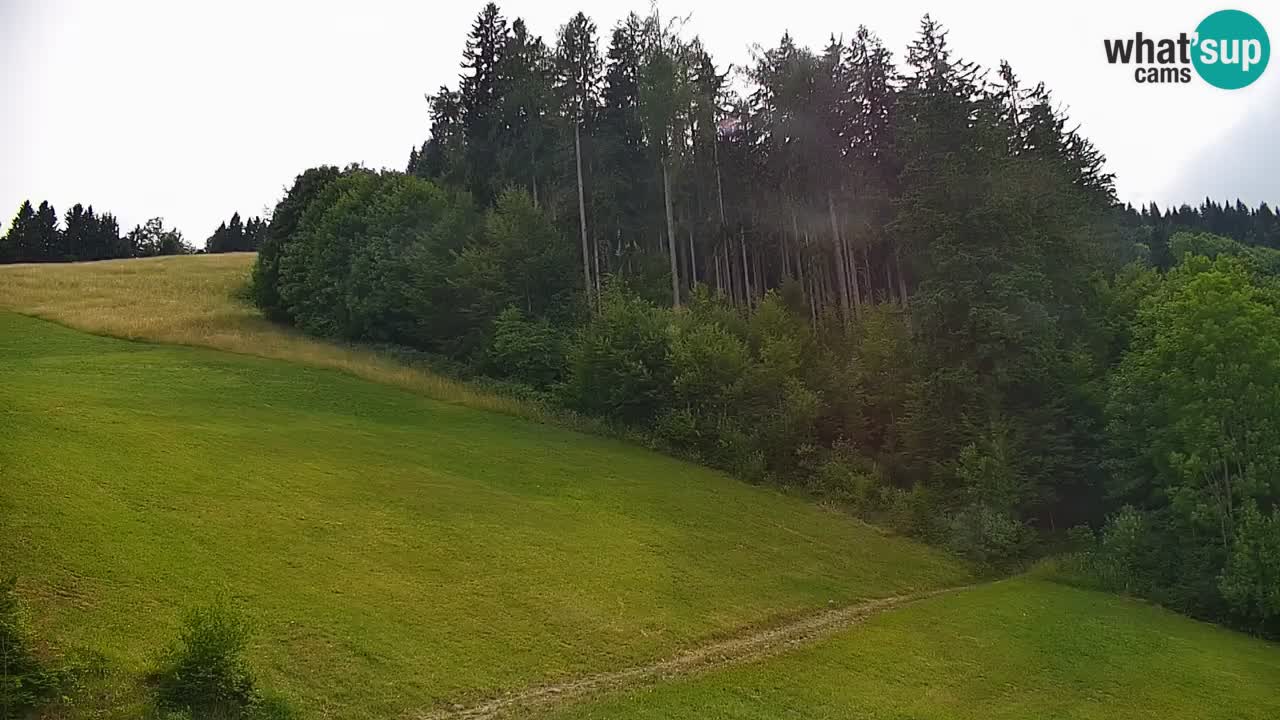 Webcam en direct de la station de ski de Stari Vrh – Slovénie