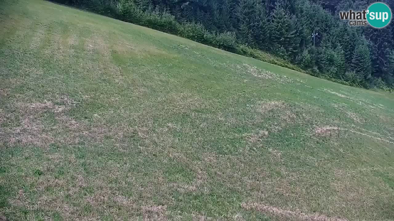 Stazione sciistica di Stari Vrh Webcam in diretta – Slovenia
