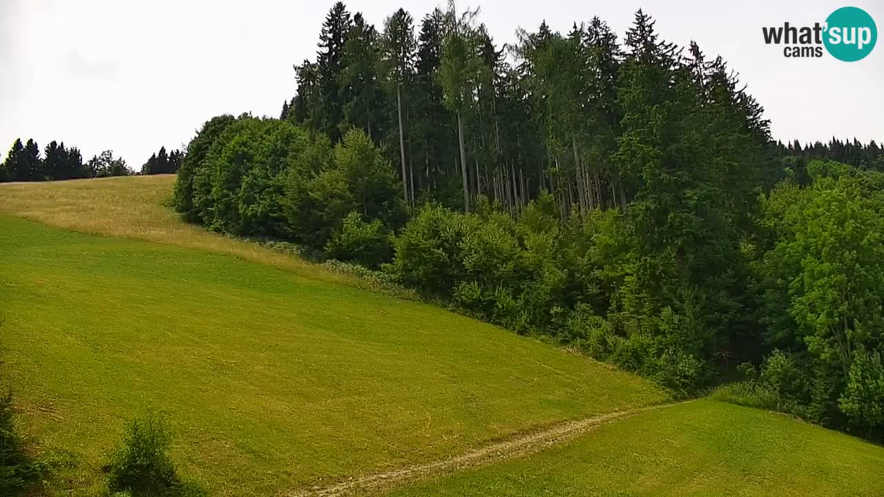 Webcam en direct de la station de ski de Stari Vrh – Slovénie