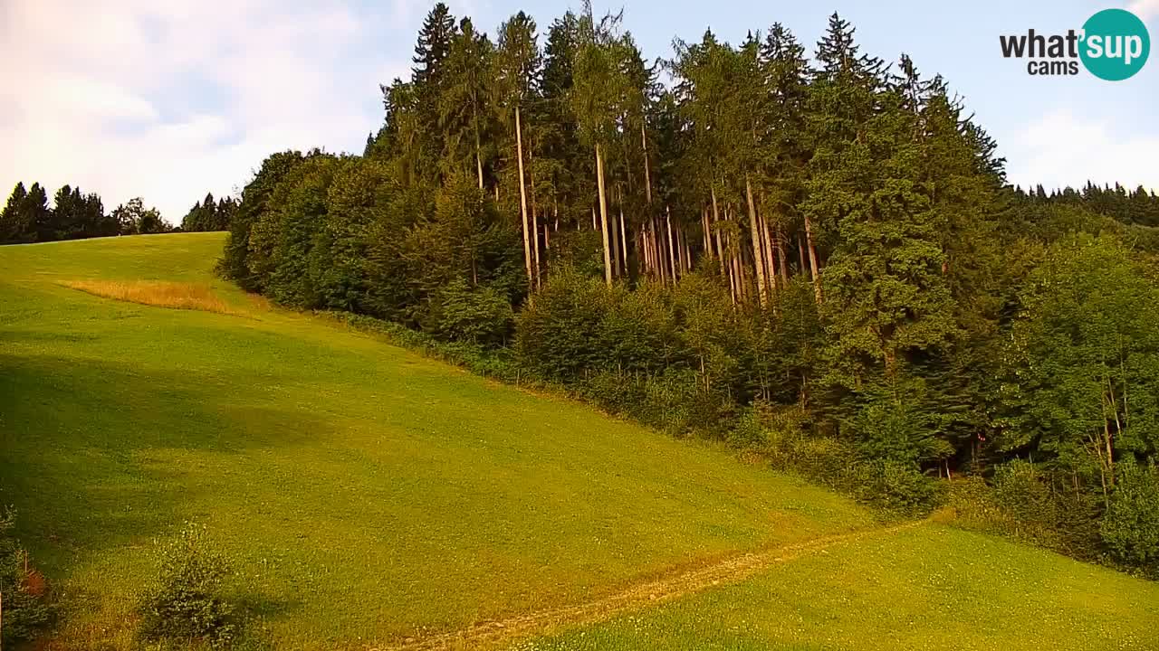 Estación de esquí Stari Vrh Cámara web en vivo – Eslovenia