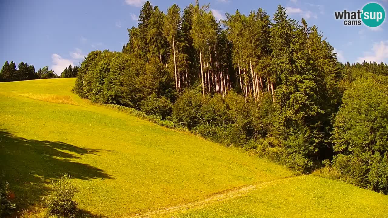 Stari Vrh Ski resort Live webcam – Slovenia