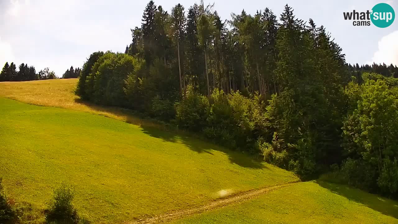 Stari Vrh Ski resort Live webcam – Slovenia