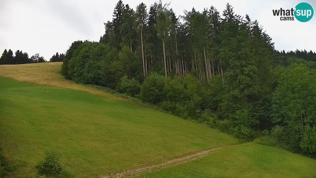 Skigebiet Stari Vrh Live Webcam – Slowenien