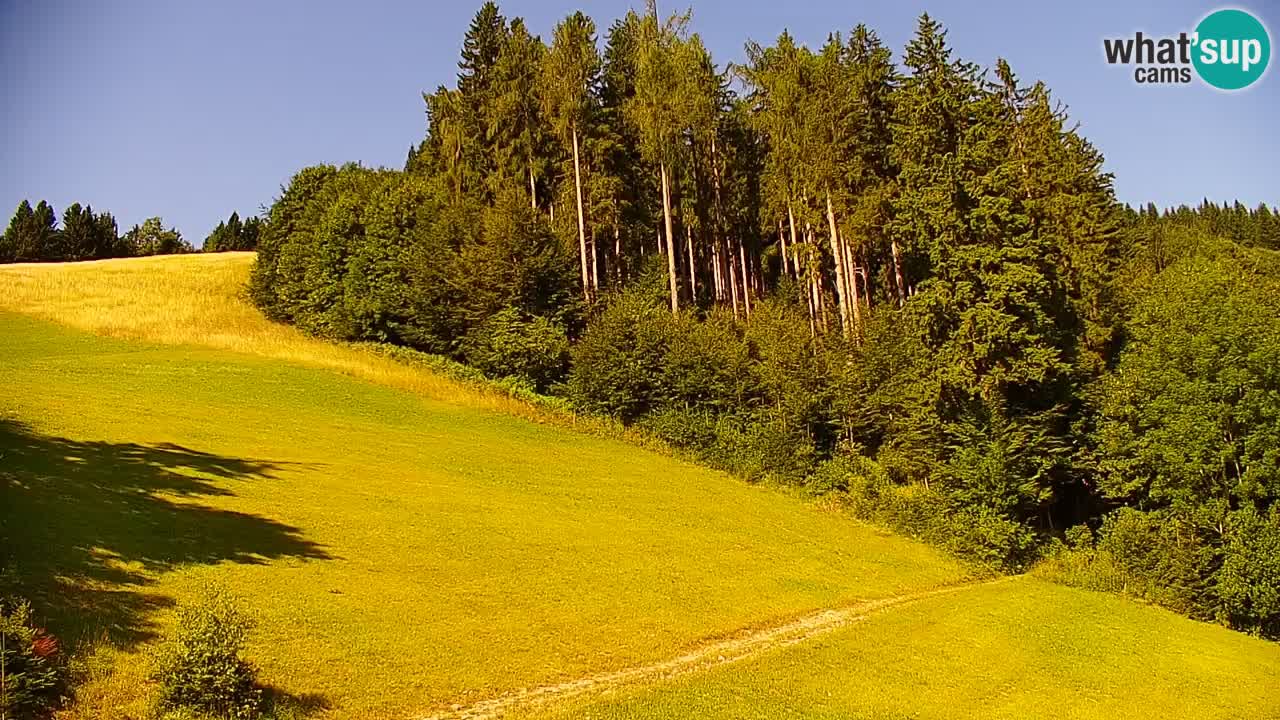 Stazione sciistica di Stari Vrh Webcam in diretta – Slovenia