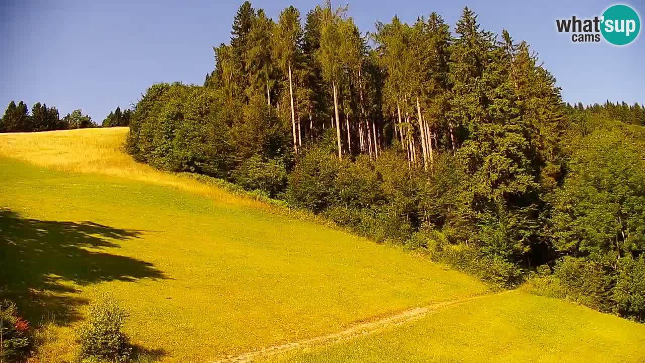 Estación de esquí Stari Vrh Cámara web en vivo – Eslovenia