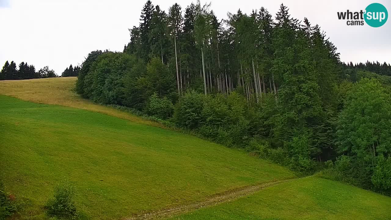 Skigebiet Stari Vrh Live Webcam – Slowenien