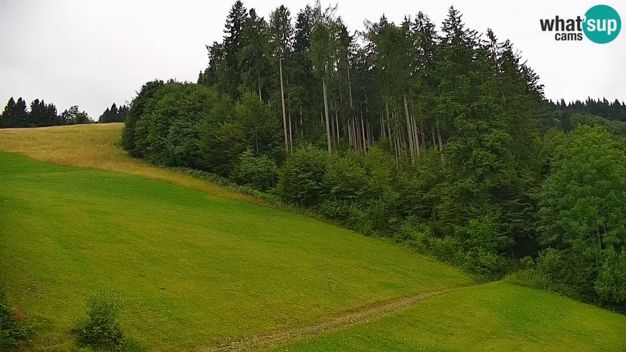 Stari Vrh Ski resort Live webcam – Slovenia