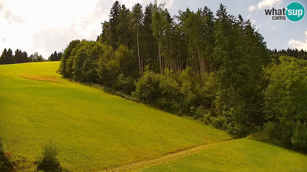 Skijalište Stari Vrh Web kamera uživo – Slovenija