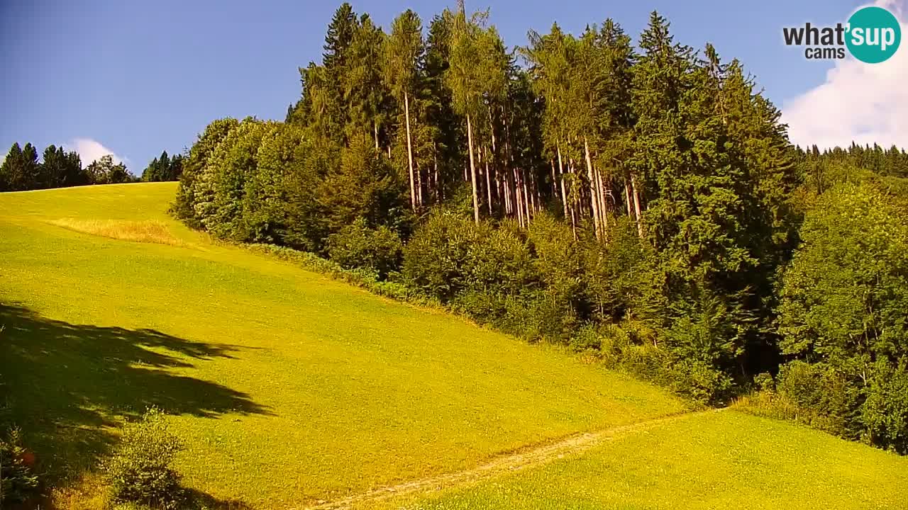 Estación de esquí Stari Vrh Cámara web en vivo – Eslovenia